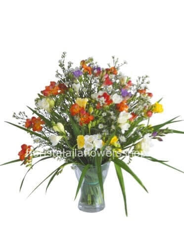 Bouquet di fresie assortite.